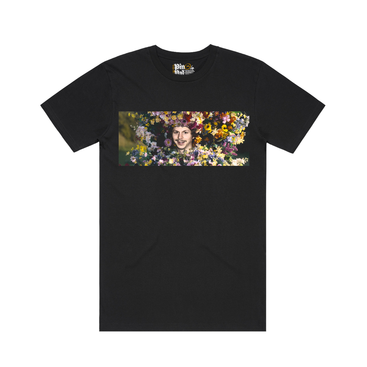 Michaelsommar Widescreen